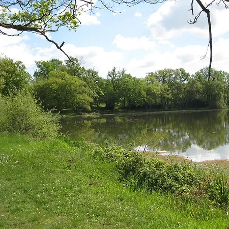 בית הארחה Maison Des Fleurs